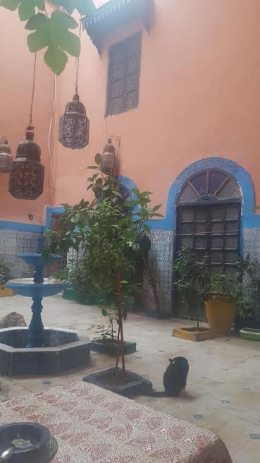 Dar Kader Bleue